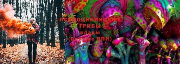Альфа ПВП Горно-Алтайск