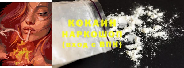 винт Горняк